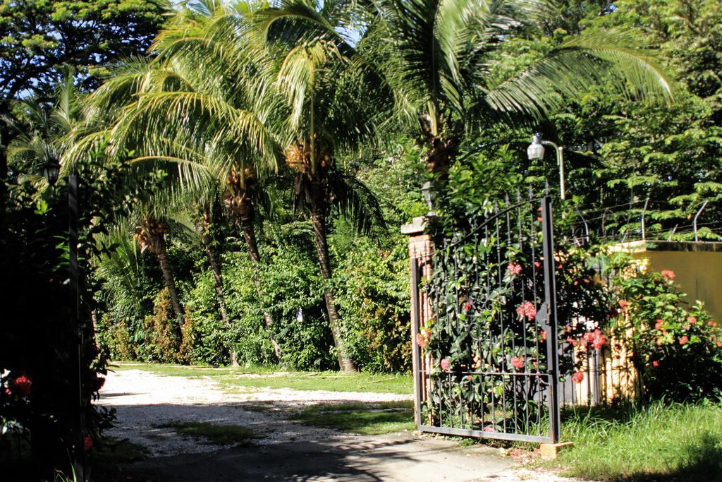 Hotel Isolina Beach Potrero  Eksteriør bilde