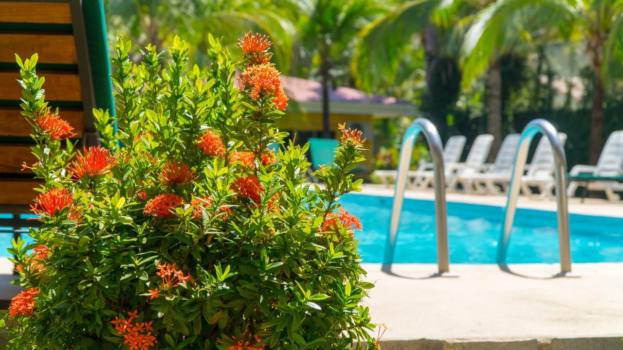 Hotel Isolina Beach Potrero  Eksteriør bilde